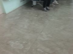 -抱抱地球咖啡馆(国家海洋博物馆店)