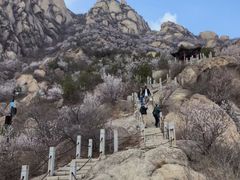 -北京凤凰岭