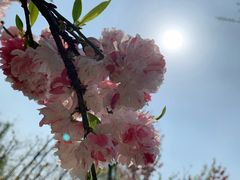 -蜀冈西峰生态公园