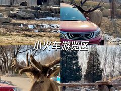 -北京野生动物园