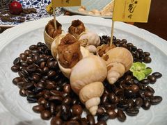 -月龍吟(朝龙汇店)