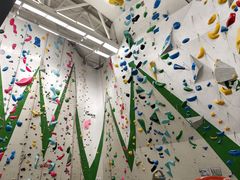 -绿壁虎攀岩基地(Tcar店)