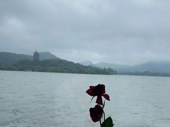 -柳莺湖上·湖景餐厅·江南菜(西湖店)