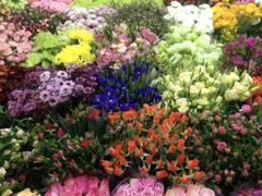 -双季花艺园艺市场(浦东店)