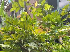 -熙楼(翠湖店)