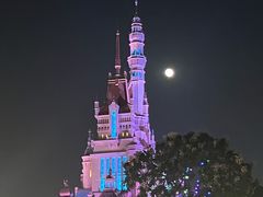 -皇室宴会厅(香港迪士尼乐园)