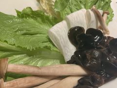 -额尔敦草原涮羊肉·烧烤(冻青树总店)