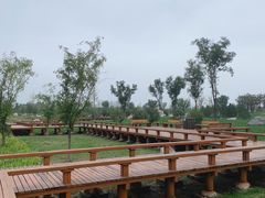 -汉长安城未央宫国家考古遗址公园