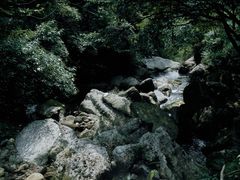 -龙窝子