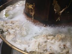 涮羊肉-鑫龙火锅城(青岛分店)