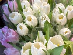 -循礼门鲜花花市(武汉循礼门店)