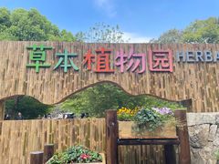-同里国家湿地公园