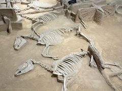 -洛阳周王城天子驾六博物馆