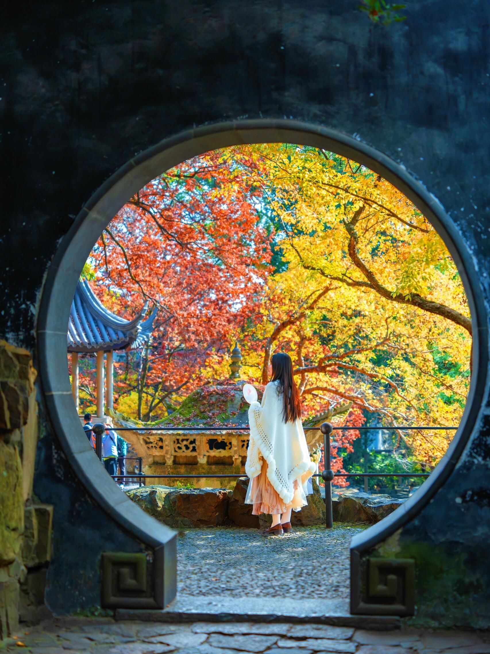 苏州的秋天,满足了我对中式美学所有的想象