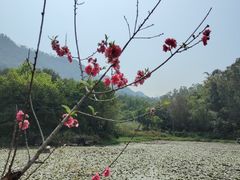 -大雁山风景区