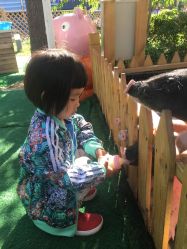 -萌宠亲子动物乐园(槐房万达店)