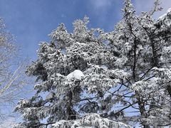 -凤凰山国家森林公园