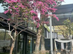 -椒顽新疆炒米粉(湖大店)
