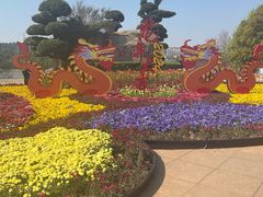 -洛龙公园