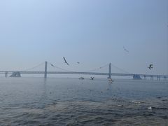 -星海广场