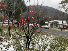 -鑫福楼农家菜