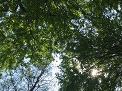-尚贤河湿地