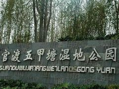 -五甲塘生态湿地公园