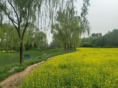 -北坞公园