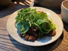 -毛辣果·酸(OHA复兴西路店)