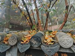 -老君山