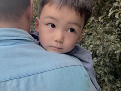 -东平国家森林公园