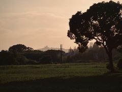 -贡湖湾湿地公园