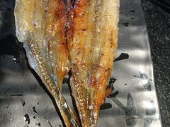 烤棒鱼-海鲜烧烤