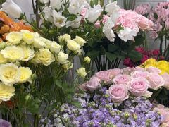 -Flower in(密渡桥店)