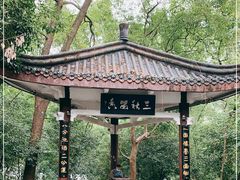 -忠山公园