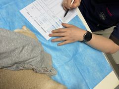 -关爱宠物医院·猫科中心·消化科(滨湖万达分院)