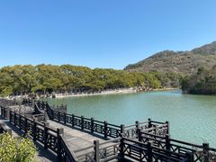 -白马涧龙池景区