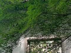 -杭州植物园
