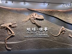 -柳州白莲洞洞穴科学博物馆