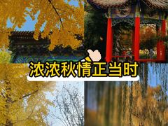 -燕郊植物园