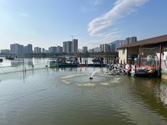 -飞来湖湿地公园