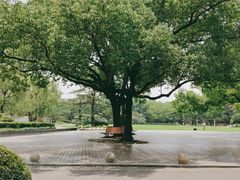 -御花园·粤菜·海鲜火锅(中山公园店)