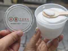 -洪馨椰子