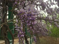 -东方巨龟苑景区