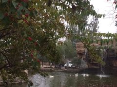 -静之湖湖畔餐厅