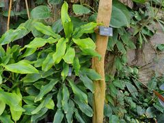 -北京植物园-展览温室