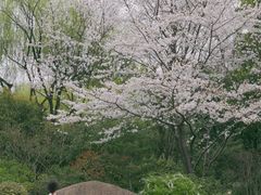 -墅园