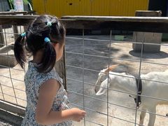 -前小桔亲子创意农场·草莓采摘·露营烧烤