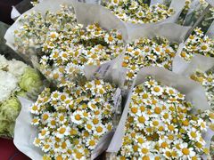 -循礼门鲜花花市(武汉循礼门店)