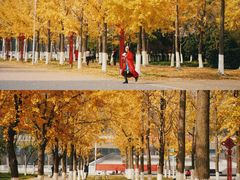 -金陵图书馆